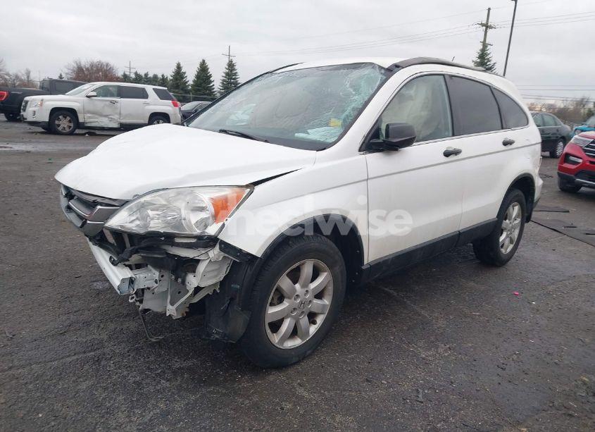 Photo 2 of 2011 Honda Cr-v SE (VIN 5J6RE4H41BL092884)