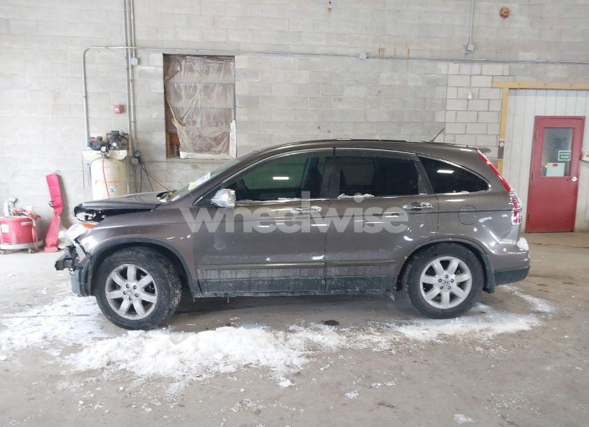 Photo 15 of 2011 Honda Cr-v SE (VIN 5J6RE4H41BL093999)