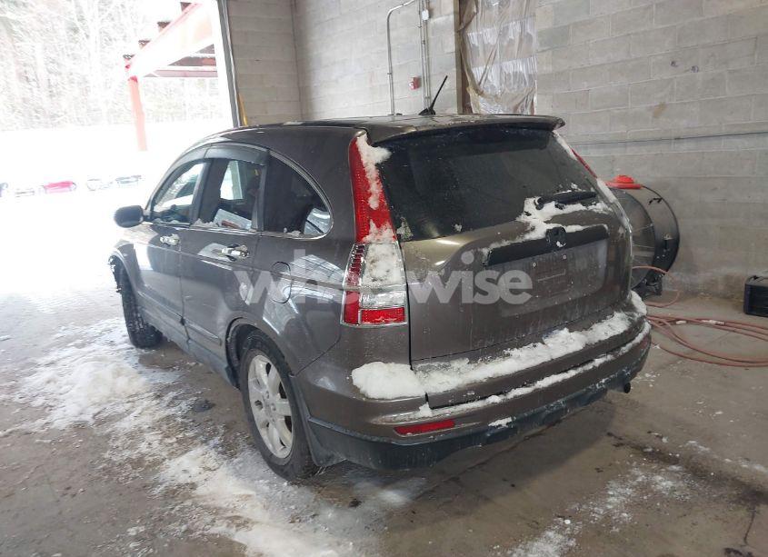 Photo 3 of 2011 Honda Cr-v SE (VIN 5J6RE4H41BL093999)