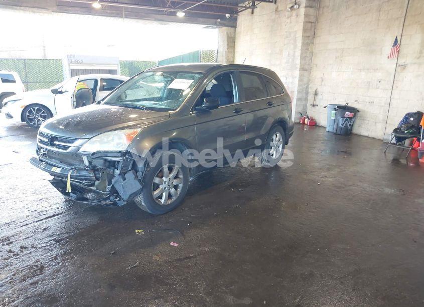 Photo 2 of 2011 Honda Cr-v SE (VIN 5J6RE4H42BL011049)