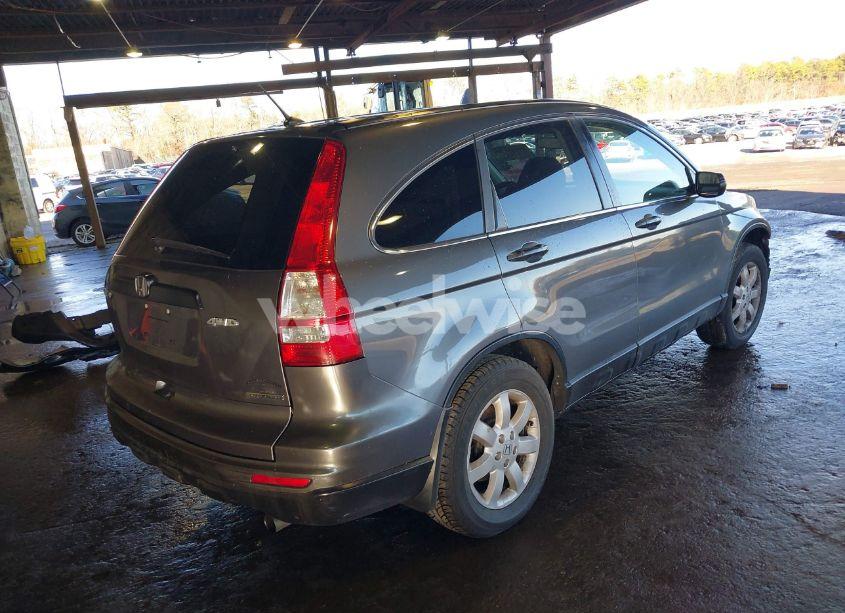 Photo 4 of 2011 Honda Cr-v SE (VIN 5J6RE4H42BL011049)