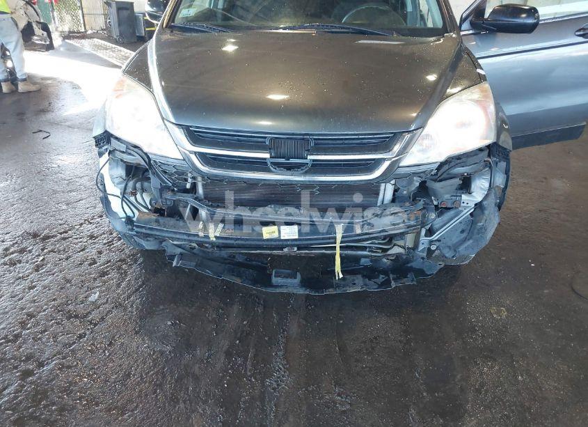 Photo 6 of 2011 Honda Cr-v SE (VIN 5J6RE4H42BL011049)