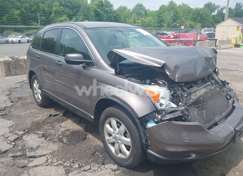 2011 Honda Cr-v SE (VIN 5J6RE4H42BL076158) main photo