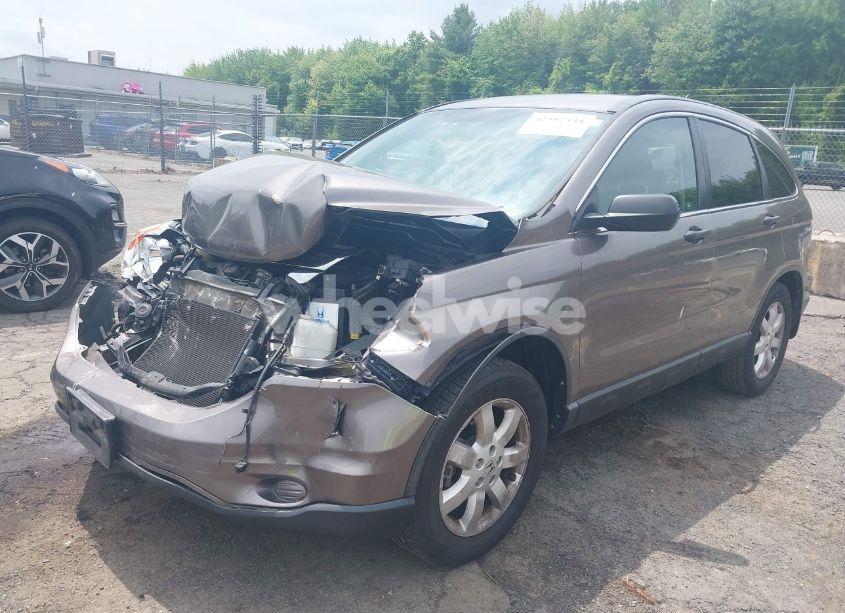 Photo 2 of 2011 Honda Cr-v SE (VIN 5J6RE4H42BL076158)