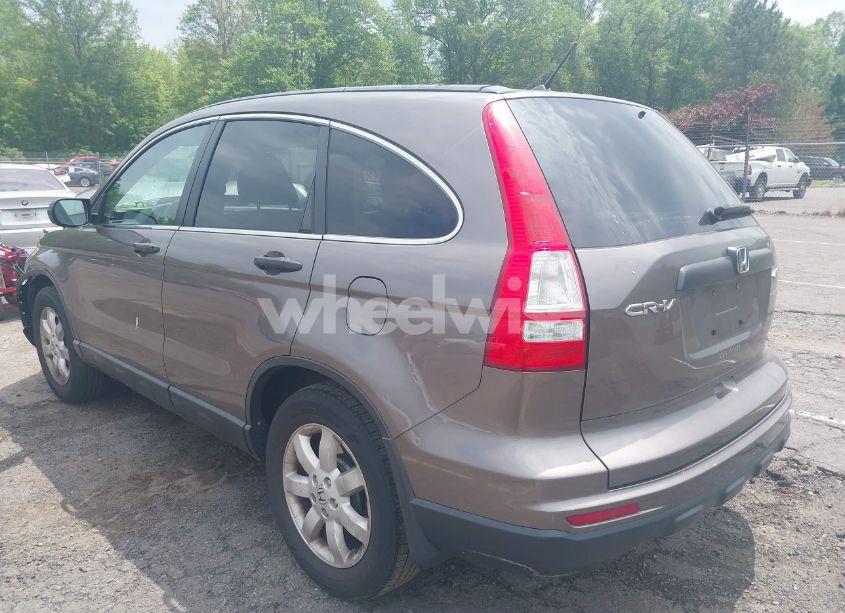 Photo 3 of 2011 Honda Cr-v SE (VIN 5J6RE4H42BL076158)