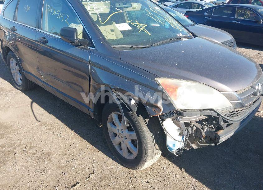 Photo 6 of 2011 Honda Cr-v SE (VIN 5J6RE4H43BL075617)