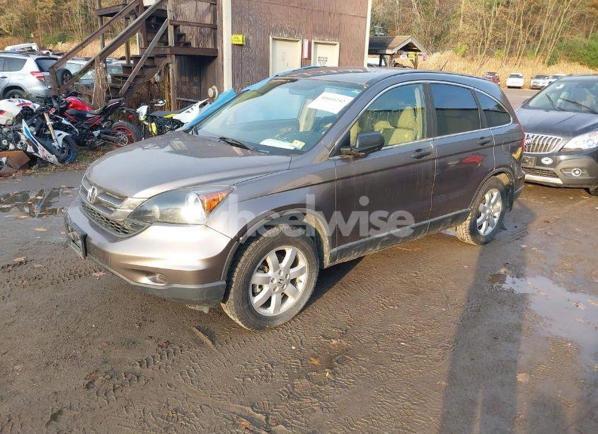 Photo 2 of 2011 Honda Cr-v SE (VIN 5J6RE4H43BL080218)