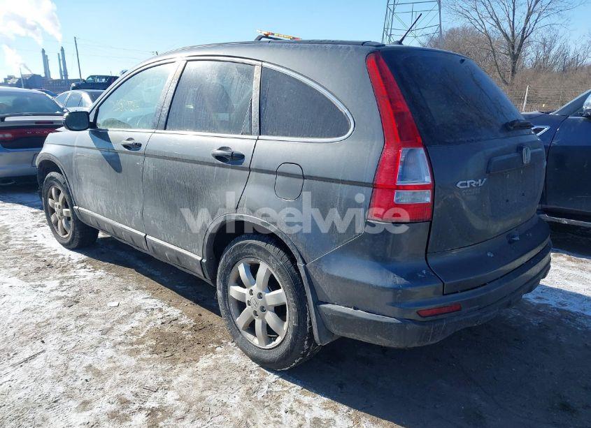 Photo 3 of 2011 Honda Cr-v SE (VIN 5J6RE4H43BL088352)