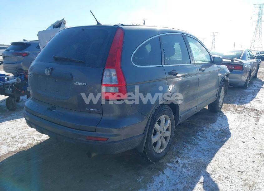 Photo 4 of 2011 Honda Cr-v SE (VIN 5J6RE4H43BL088352)