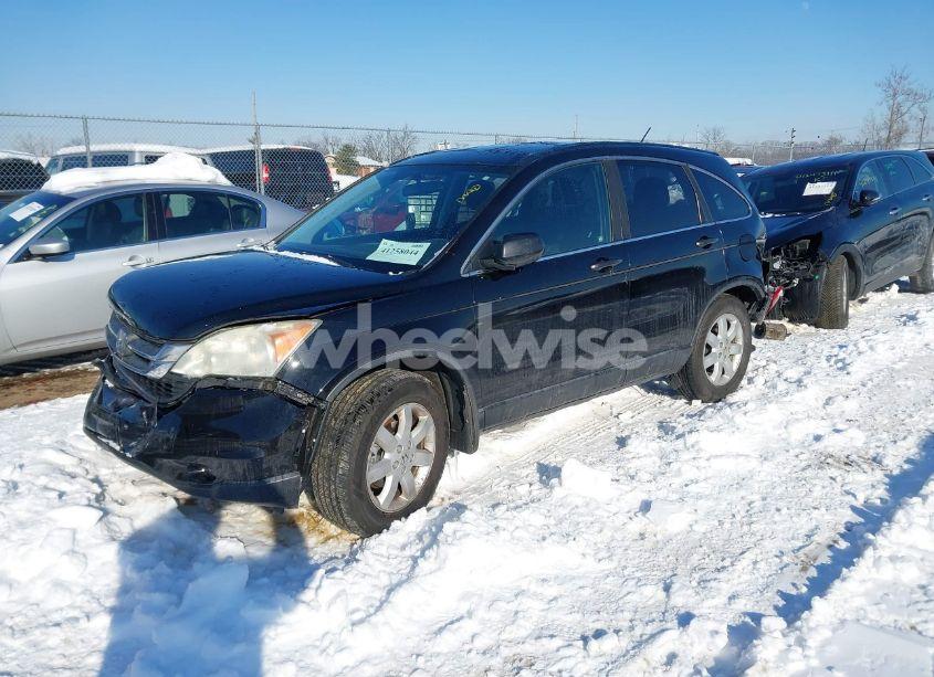 Photo 2 of 2011 Honda Cr-v SE (VIN 5J6RE4H43BL088867)