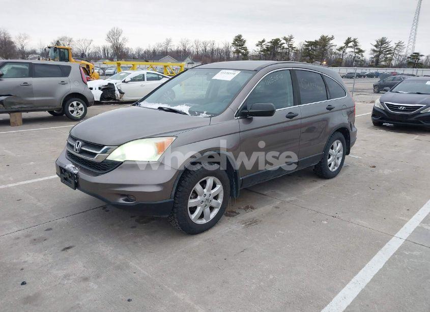 Photo 2 of 2011 Honda Cr-v SE (VIN 5J6RE4H43BL121026)