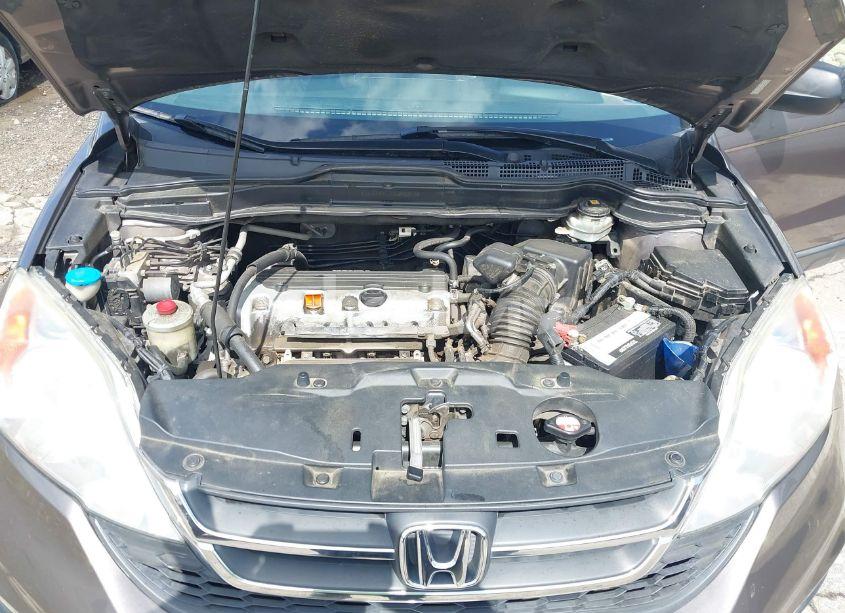 Photo 10 of 2011 Honda Cr-v SE (VIN 5J6RE4H44BL057093)