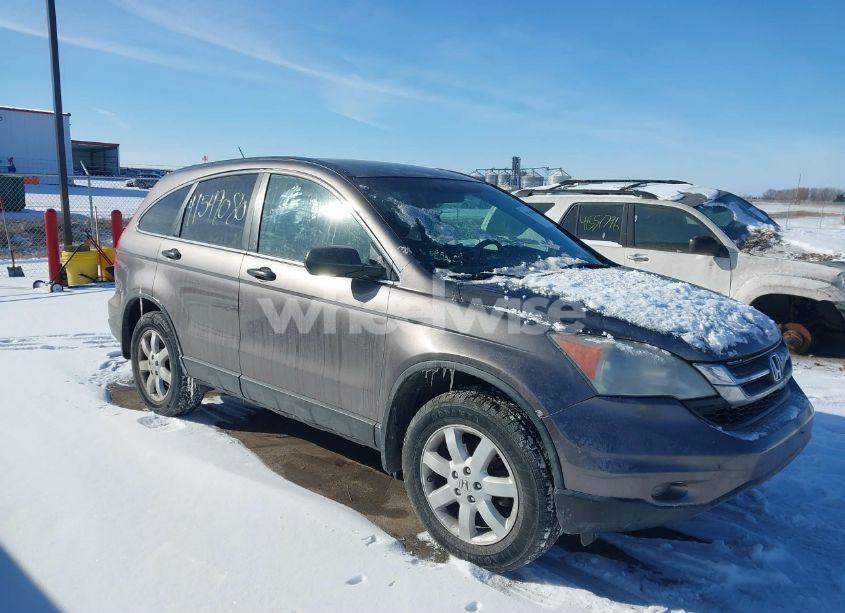 2011 Honda Cr-v SE (VIN 5J6RE4H44BL070068) main photo
