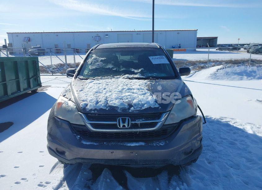 Photo 12 of 2011 Honda Cr-v SE (VIN 5J6RE4H44BL070068)
