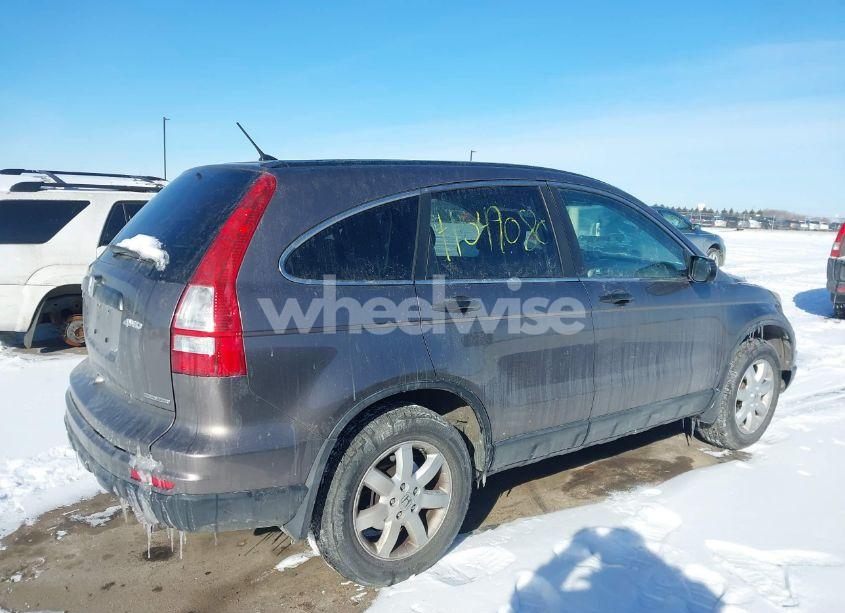 Photo 4 of 2011 Honda Cr-v SE (VIN 5J6RE4H44BL070068)