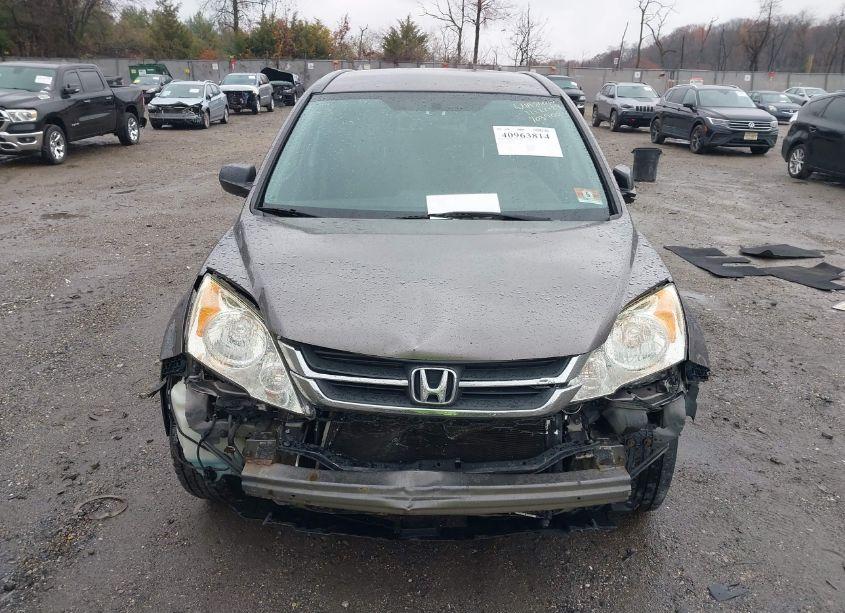 Photo 12 of 2011 Honda Cr-v SE (VIN 5J6RE4H44BL071883)