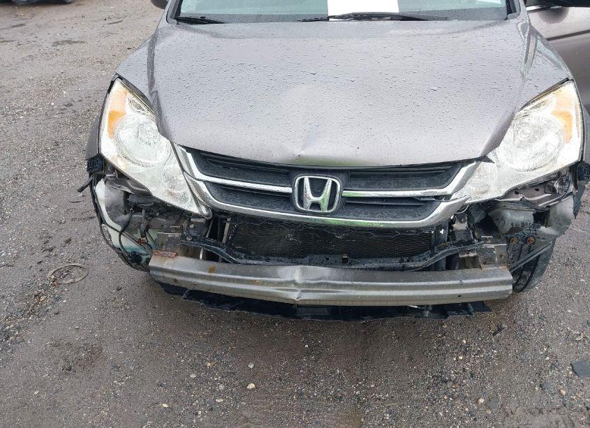 Photo 6 of 2011 Honda Cr-v SE (VIN 5J6RE4H44BL071883)