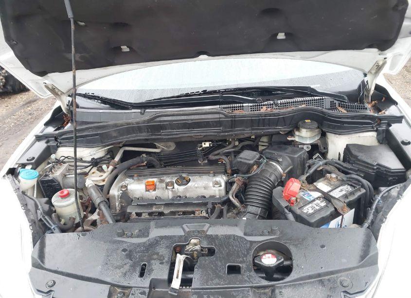 Photo 10 of 2011 Honda Cr-v SE (VIN 5J6RE4H44BL076615)