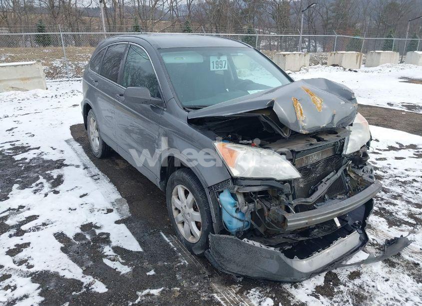 2011 Honda Cr-v SE (VIN 5J6RE4H44BL099957) main photo