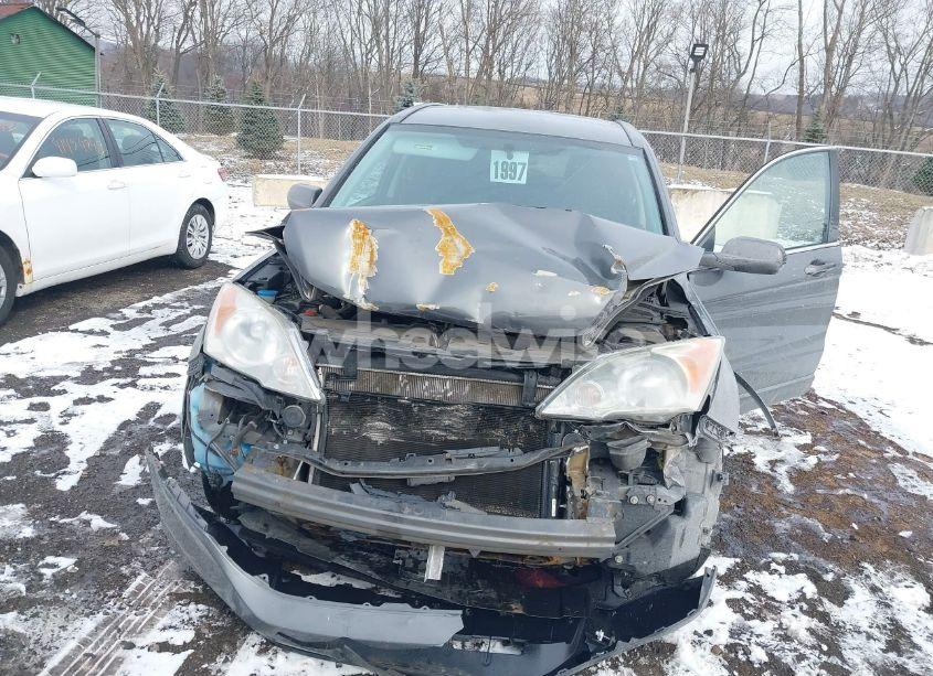 Photo 6 of 2011 Honda Cr-v SE (VIN 5J6RE4H44BL099957)