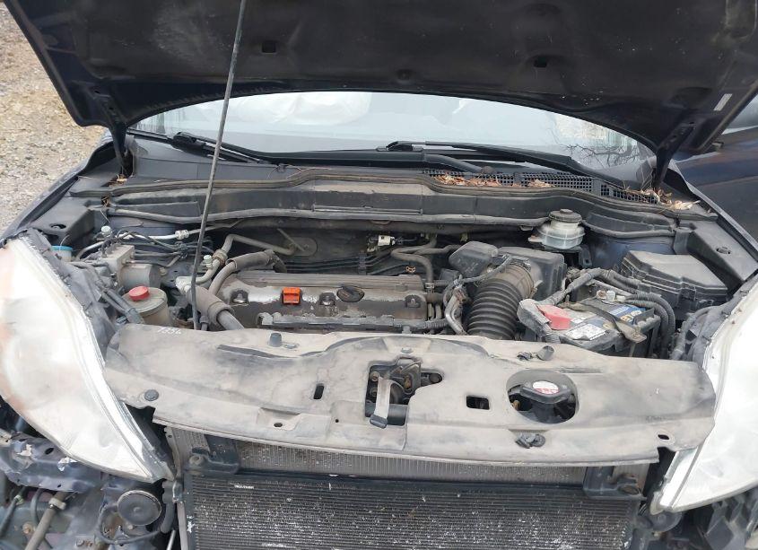 Photo 10 of 2011 Honda Cr-v SE (VIN 5J6RE4H45BL059483)