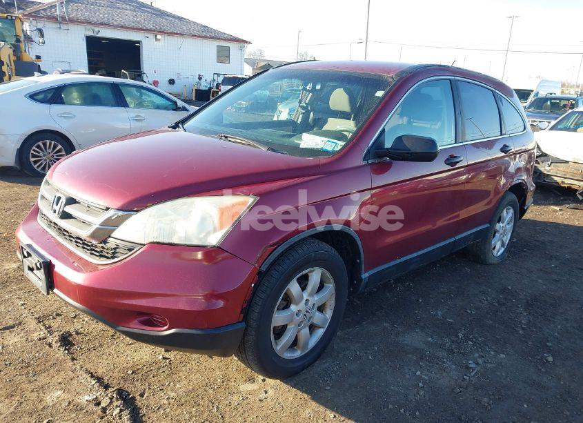 Photo 2 of 2011 Honda Cr-v SE (VIN 5J6RE4H45BL065333)
