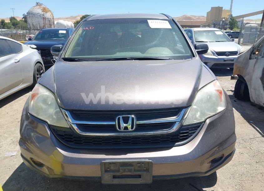 Photo 12 of 2011 Honda Cr-v SE (VIN 5J6RE4H46BL008641)