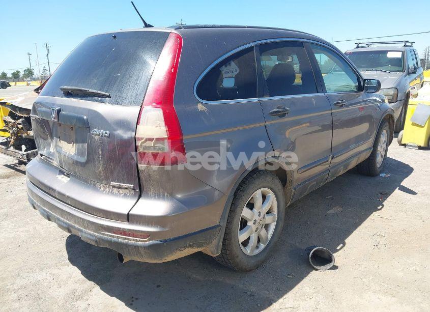 Photo 4 of 2011 Honda Cr-v SE (VIN 5J6RE4H46BL008641)