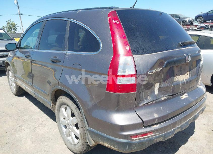 Photo 6 of 2011 Honda Cr-v SE (VIN 5J6RE4H46BL008641)