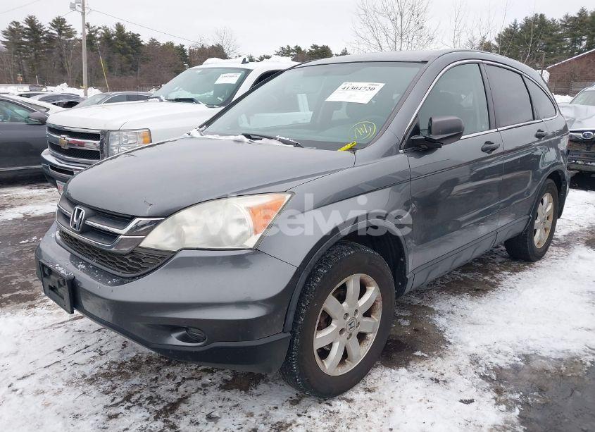 Photo 2 of 2011 Honda Cr-v SE (VIN 5J6RE4H46BL108822)