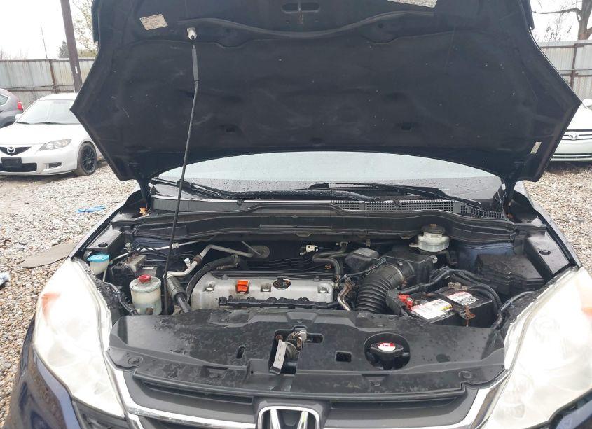 Photo 10 of 2011 Honda Cr-v SE (VIN 5J6RE4H46BL123031)