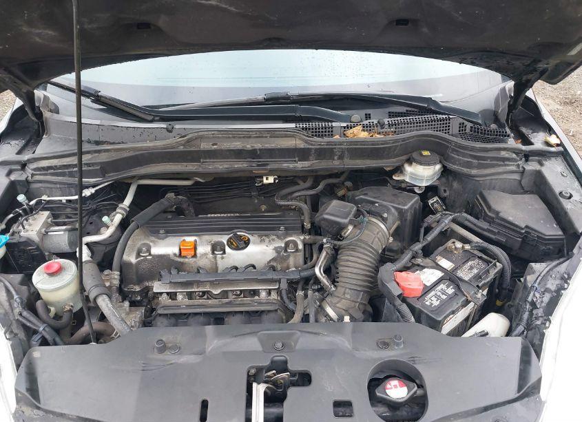 Photo 10 of 2011 Honda Cr-v SE (VIN 5J6RE4H49BL038989)