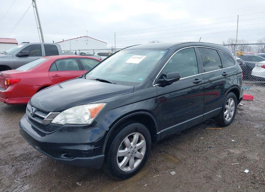 Photo 2 of 2011 Honda Cr-v SE (VIN 5J6RE4H49BL038989)