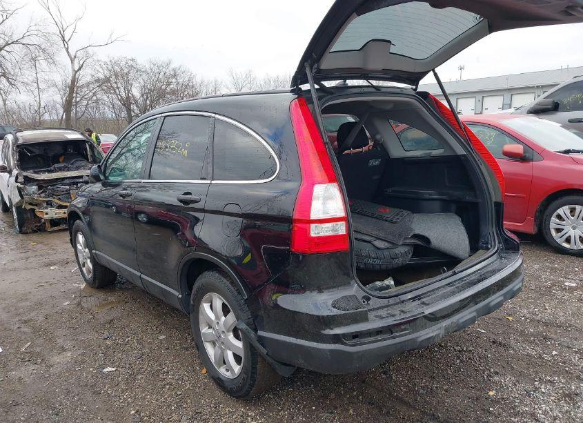 Photo 3 of 2011 Honda Cr-v SE (VIN 5J6RE4H49BL038989)