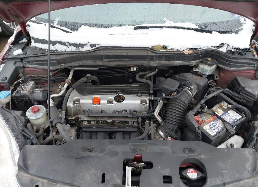 Photo 10 of 2011 Honda Cr-v SE (VIN 5J6RE4H4XBL018363)