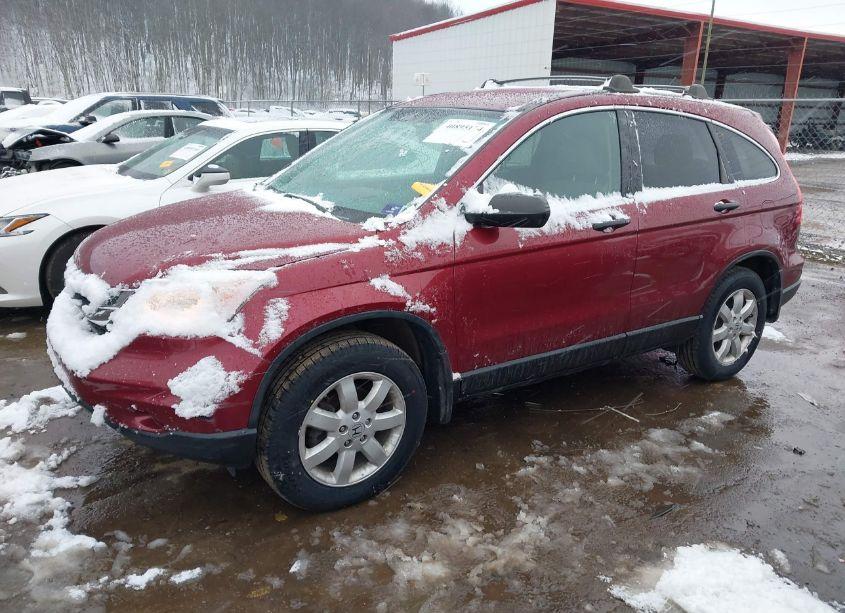 Photo 2 of 2011 Honda Cr-v SE (VIN 5J6RE4H4XBL018363)
