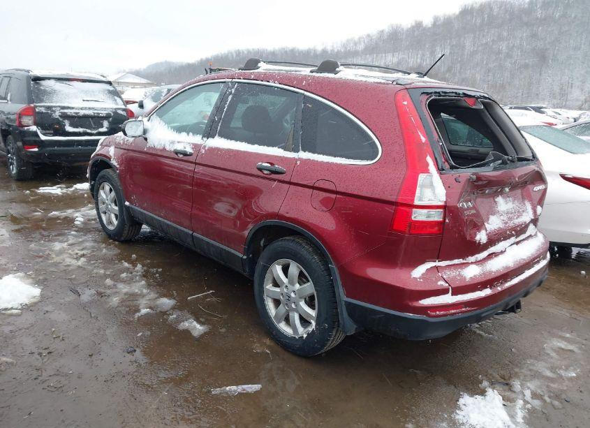 Photo 3 of 2011 Honda Cr-v SE (VIN 5J6RE4H4XBL018363)