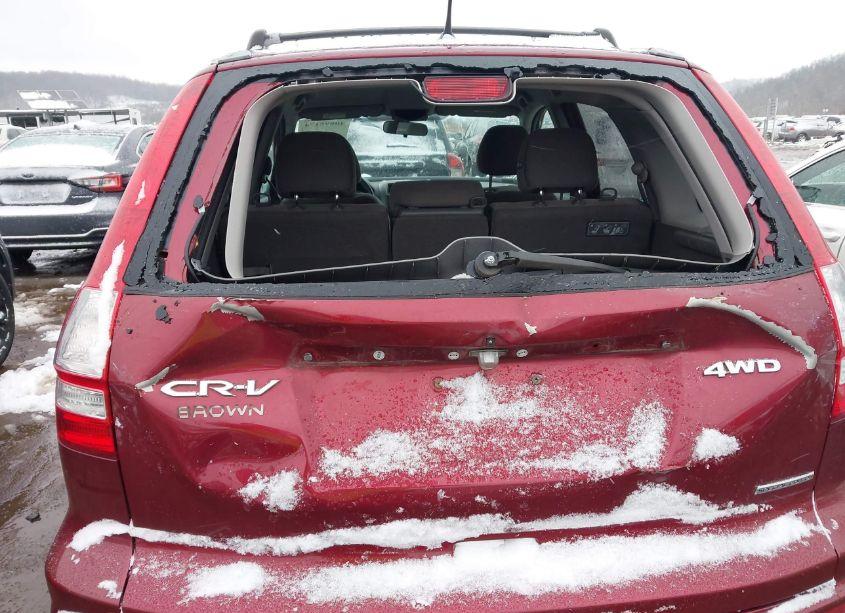 Photo 6 of 2011 Honda Cr-v SE (VIN 5J6RE4H4XBL018363)