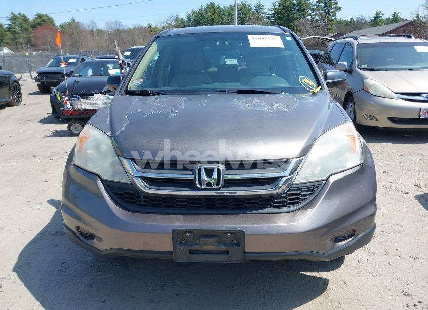 Photo 12 of 2011 Honda Cr-v SE (VIN 5J6RE4H4XBL089899)