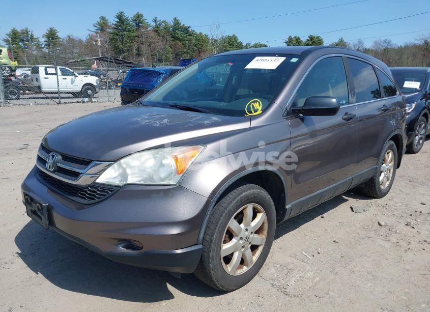 Photo 2 of 2011 Honda Cr-v SE (VIN 5J6RE4H4XBL089899)