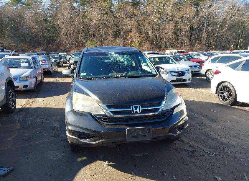 Photo 12 of 2011 Honda Cr-v SE (VIN 5J6RE4H4XBL100156)