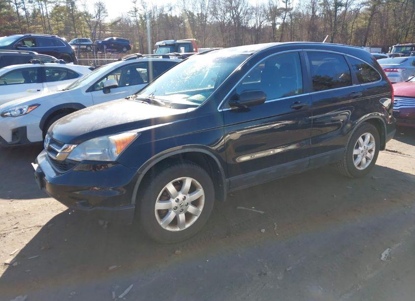 Photo 2 of 2011 Honda Cr-v SE (VIN 5J6RE4H4XBL100156)