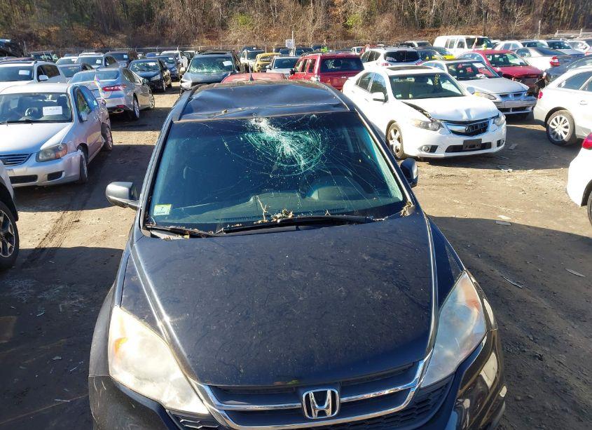 Photo 6 of 2011 Honda Cr-v SE (VIN 5J6RE4H4XBL100156)