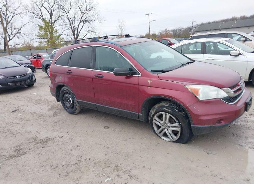 2010 Honda Cr-v EX (VIN 5J6RE4H50AL064162) main photo