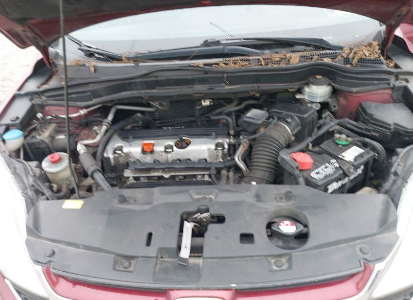 Photo 10 of 2010 Honda Cr-v EX (VIN 5J6RE4H50AL064162)