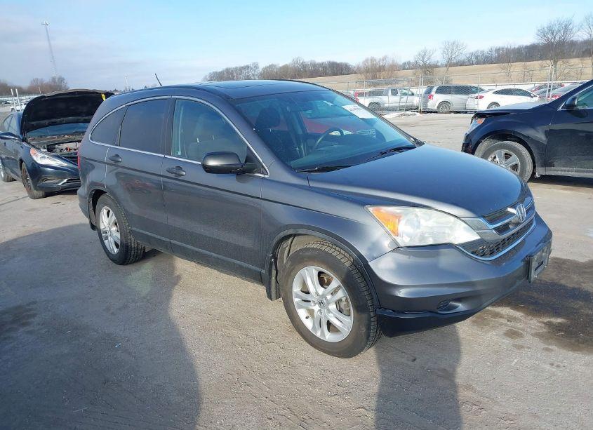 2010 Honda Cr-v EX (VIN 5J6RE4H51AL010613) main photo