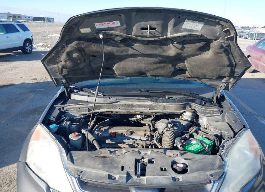 Photo 10 of 2010 Honda Cr-v EX (VIN 5J6RE4H51AL010613)