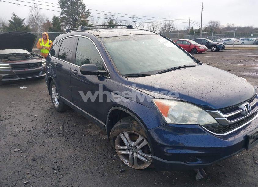 2010 Honda Cr-v EX (VIN 5J6RE4H51AL025984) main photo