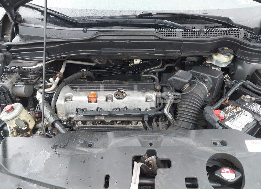 Photo 10 of 2010 Honda Cr-v EX (VIN 5J6RE4H51AL055504)