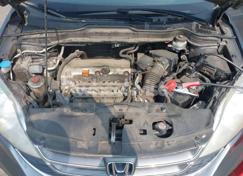 Photo 10 of 2010 Honda Cr-v EX (VIN 5J6RE4H52AL093985)